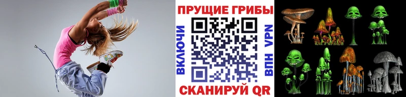 Галлюциногенные грибы Psilocybe купить цена Еманжелинск